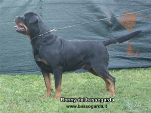 Ronny ADRK 2004